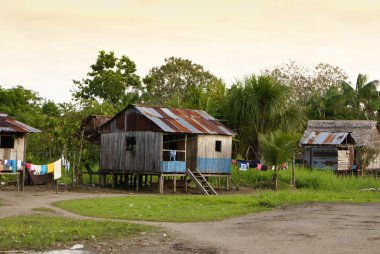 Peru, Perulu amazonas manzara. Fotoğraf mevcut tipik ind