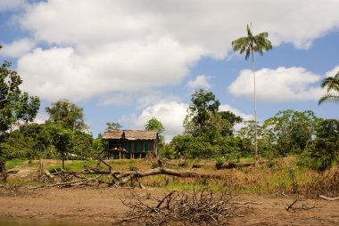 Peru, Perulu amazonas manzara. Fotoğraf mevcut tipik ind
