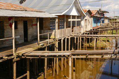 stilts artış islandia Peru kirli su üstünde ev sahipliği yapmaktadır.