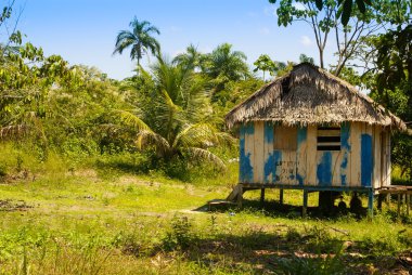Peru, Perulu amazonas manzara. Fotoğraf mevcut tipik ind