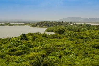 yağmur ormanı sularında, rio negro, amazon Nehri üzerinde Yansımalı
