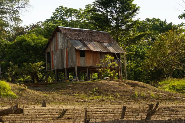 Peru, paisagem amazônica peruana. A foto presente ind típico — Fotografia de Stock