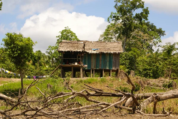 Peru, peruwiańskie amazonas krajobraz. Zdjęcie przedstawia typowy ind — Zdjęcie stockowe