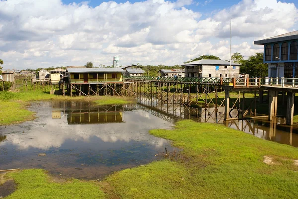 Houses on stilts rise above the polluted water in Islandia Peru — Stock Photo, Image