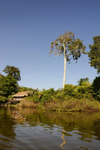 Peru, Peruvian Amazonas landscape. The photo present typical ind — Stock Photo, Image