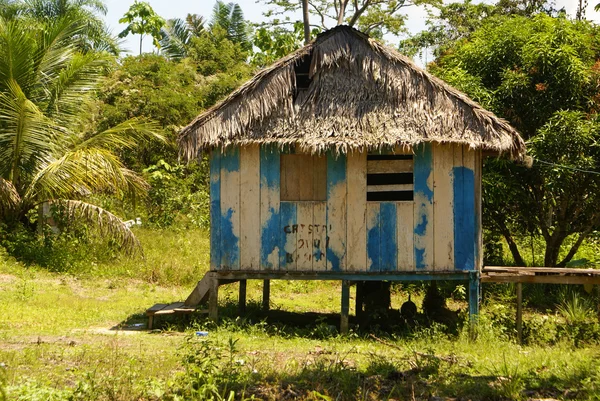 Peru, peruwiańskie amazonas krajobraz. Zdjęcie przedstawia typowy ind — Zdjęcie stockowe