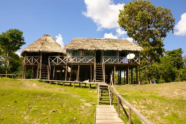 Perú, Amazonas peruana paisaje. La foto presente tipo ind — Foto de Stock