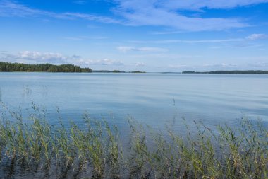 Yaz akşam olay yerinde ruunaa yürüyüş alanı, Finlandiya