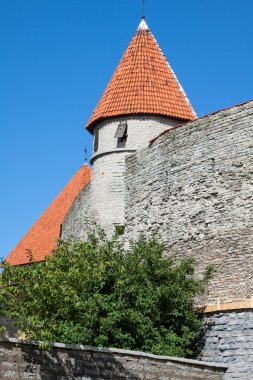 gökyüzü arka plan üzerinde kale kuleleri ve kilise görünümünü. Tallinn. e