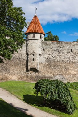 gökyüzü arka plan üzerinde kale kuleleri ve kilise görünümünü. Tallinn. e