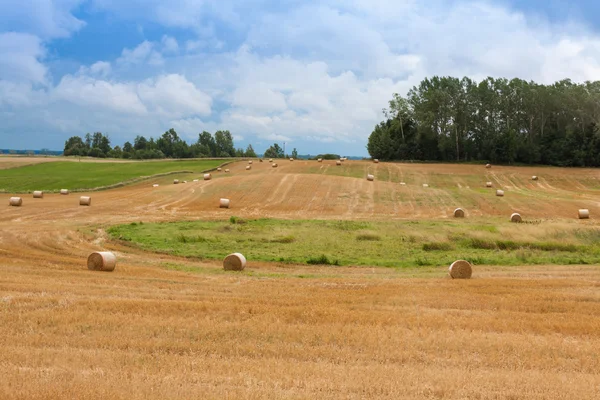 Bundles of straw on the field after harvest in Poland — Stock Photo, Image