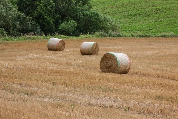 Pacotes de palha no campo após a colheita na Polônia — Fotografia de Stock
