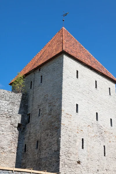 Vista delle torri della fortezza e della chiesa sullo sfondo del cielo. Tallinn. E. — Foto Stock