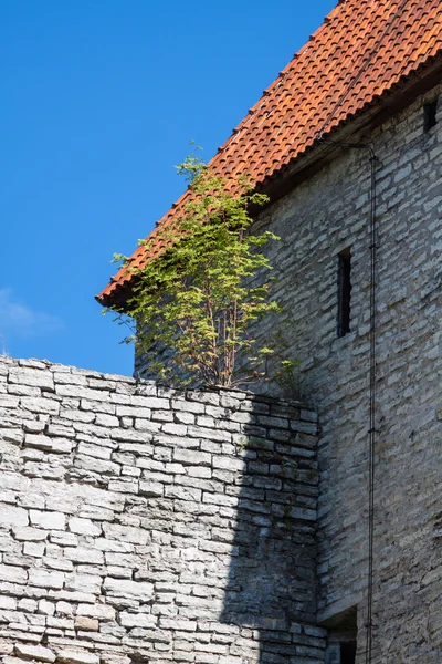 Pohled pevnosti věže a kostela na pozadí oblohy. Tallinn. e — Stock fotografie