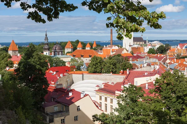 Vista da cidade velha (Tallinn, Estonia ) — Fotografia de Stock