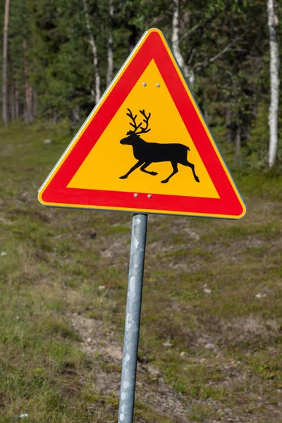 ノルウェーの美しい風光明媚な道路。一般的な警告標識 — ストック写真