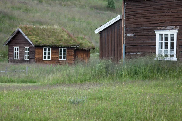 Νορβηγικά-τυπικό χλόης στέγη εξοχική κατοικία — Φωτογραφία Αρχείου