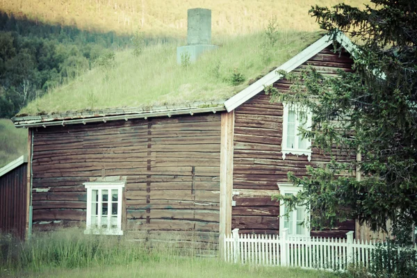 Norvegese tipica erba tetto casa di campagna — Foto Stock