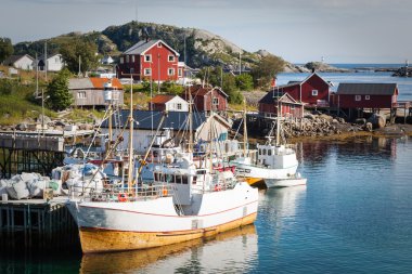 Geleneksel kırmızı rorbu kulübesi olan tipik Norveç balıkçı köyü.