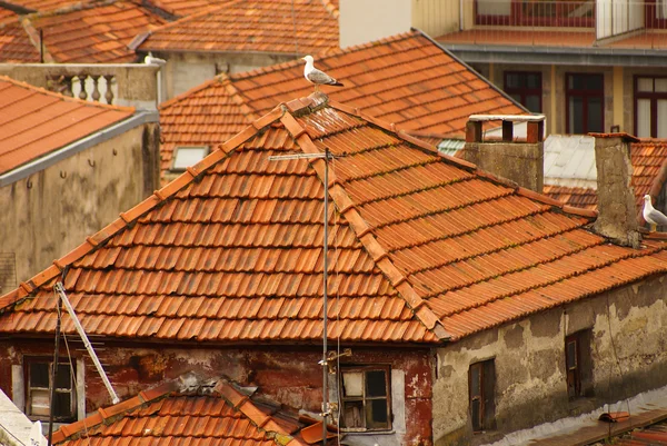 Casas delgadas en el casco antiguo, Oporto, Portugal —  Fotos de Stock