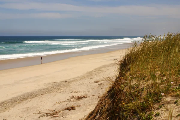 Пляж на побережье Атлантического океана недалеко от города Фурууру, Португалия — стоковое фото