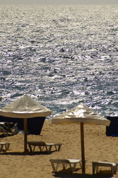 Parasol et chaises longues sur la plage de sable — Photo
