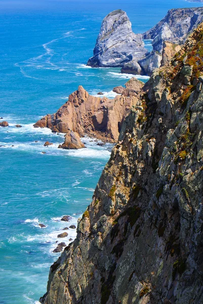 Atlantic ocean coast cliff at Sardao cape (Cabo Sardao), Alentej Stock Picture