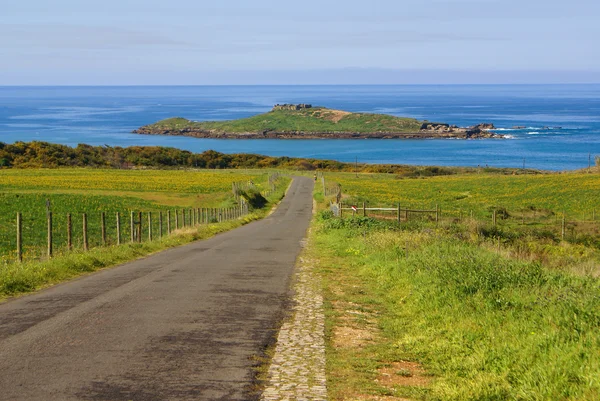 Pessegueiro island, Porto Covo, Portugal — Stock Photo, Image