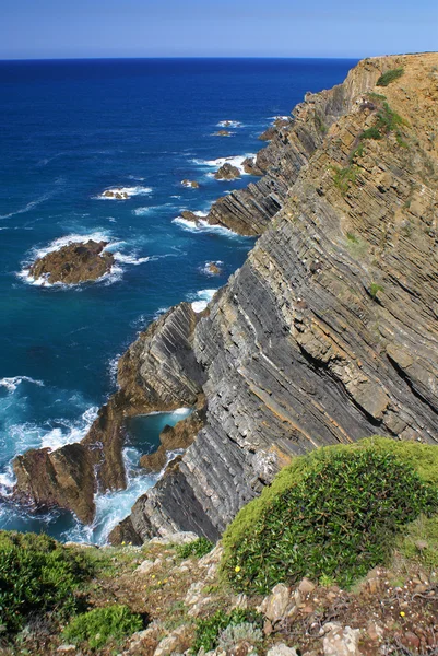 Atlantic ocean coast cliff at Sardao cape (Cabo Sardao), Alentej — Stock Photo, Image