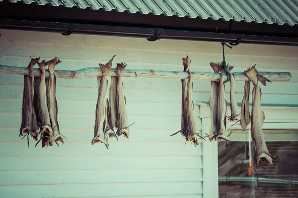Gedroogde vis opknoping op een rorbu in de lofoten — Stockfoto