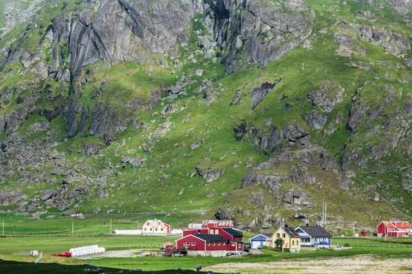 Geleneksel Norveç renkli evleri, lofoten Adaları, Norveç — Stok fotoğraf