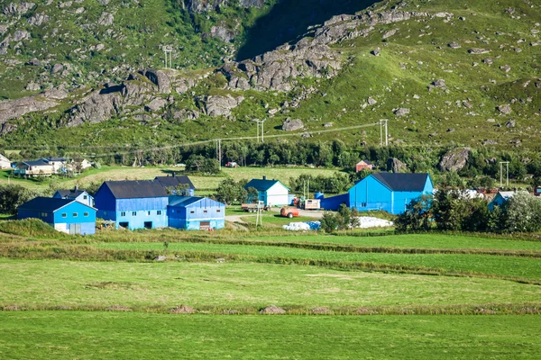 Traditionelle norwegische farbenfrohe Häuser, lofoten Inseln, Norwegen — Stockfoto