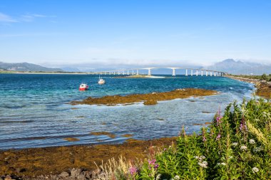 Norveç nehirde köprü