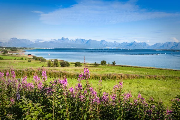 Vackra landsscape, lofoten öarna, Norge — Stockfoto