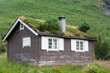 typisch Noorse huis met gras op het dak