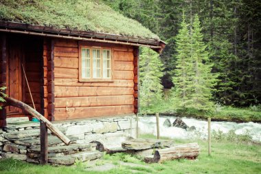 typisch Noorse huis met gras op het dak