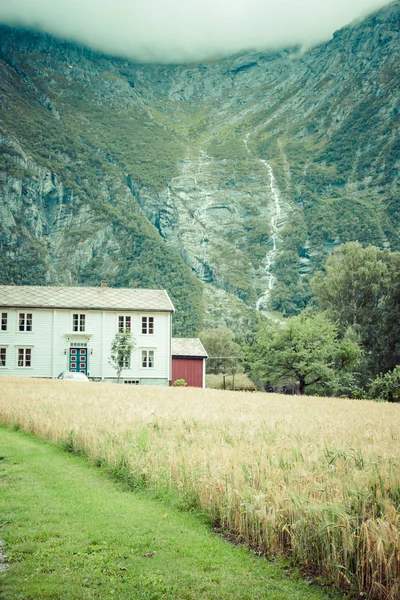 Mooie vallei, troll route, Noorwegen — Stockfoto