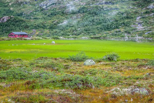 Skandinavische Landschaft mit Feld — Stockfoto