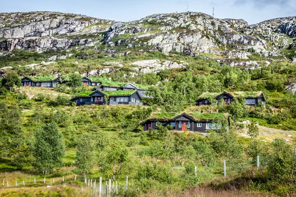 Типичный норвежский дом с травой на крыше — стоковое фото