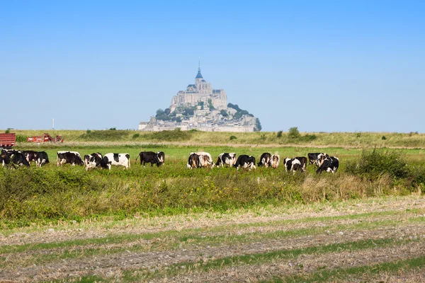 Mont saint Michel - Normandy - France — Stock Photo, Image