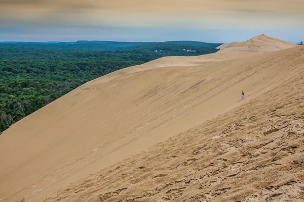Pohled z duny pilat - největší písečné duny v Evropě, aquit — Stock fotografie