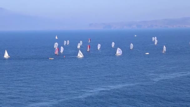 Yelkenliler, regatta Denizi Santander, İspanya — Stok video