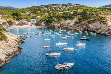 Es vedra island of Ibiza  Cala d Hort in Balearic islands clipart