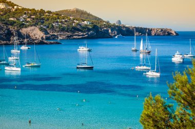 Cala tarida ibiza Plajı san Jose Balear Adaları