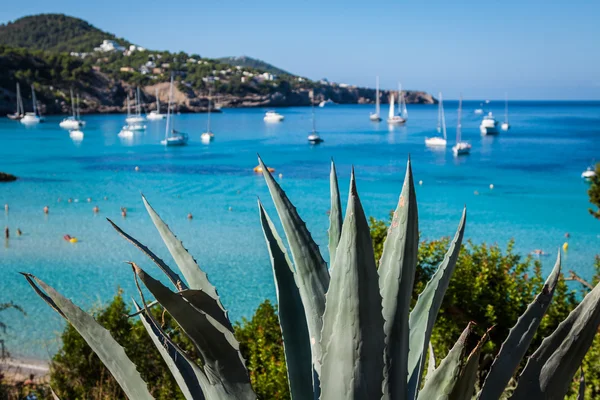 Cala Tarida na praia de Ibiza San Jose nas Ilhas Baleares — Fotografia de Stock