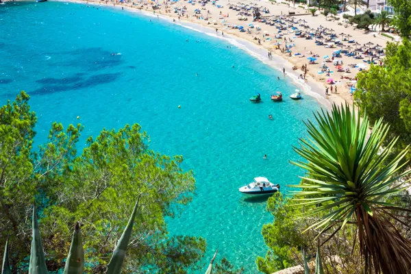 Ibizas cala de sant vicent caleta de san vicente beach turkos — Stockfoto