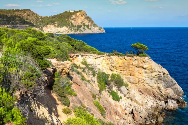 Cala nova strand in ibiza eiland in Balearen mediterrane — Stockfoto