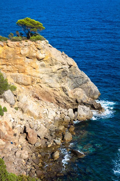 Cala Nova praia na ilha de Ibiza no Mediterrâneo Baleares — Fotografia de Stock