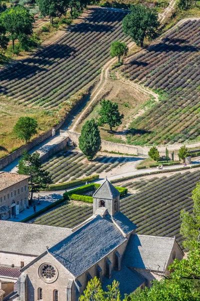 Abbaye de senanque w pobliżu miejscowości gordes, regionie vaucluse, provenc — Zdjęcie stockowe