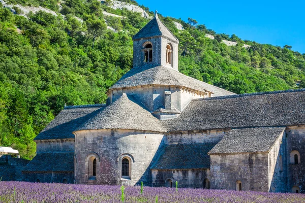 Lavender framför abbaye de senanque i provence — Stockfoto